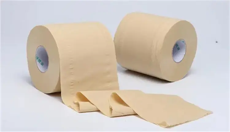 What’s the Advantages of Bamboo Pulp (2).webp