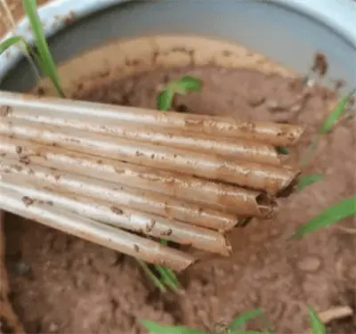 175gsm Kraft Sticker Paper