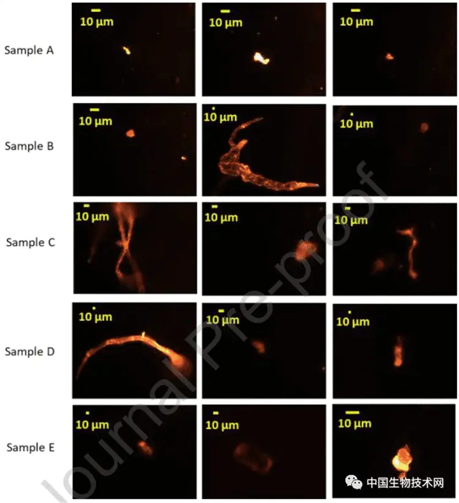 After Reading This, Do You Dare to Drink Coffee Every Day with a PE Coated Paper Cup (4).webp