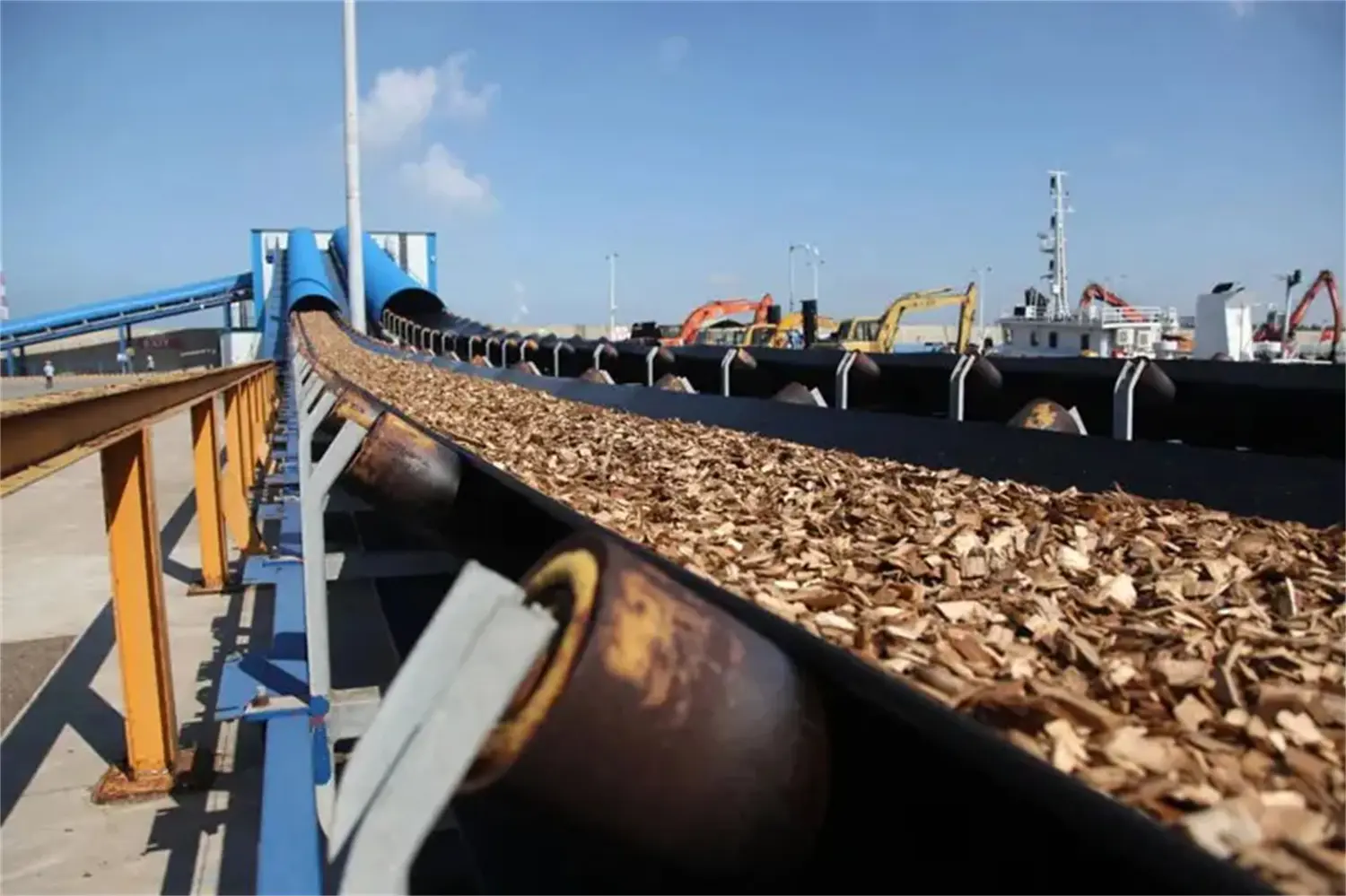 Walk into the App Pulp Mill and See How the Tree Becomes Pulp (2).webp