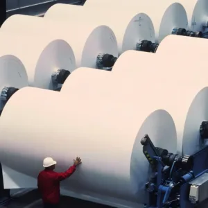 New Design from APP Friendly Cupstock (EPP Coated) Food Grade Bio De-Gradable Paper