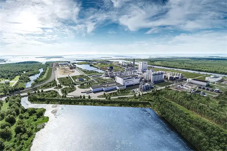 What’s the Concerns of the Global Pulp Market in 2023 (2).webp