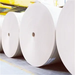 PLA Coated Biodegradable Paper Coated with 100% Biodegradable Material PLA Widely Use for Cups and Bowls