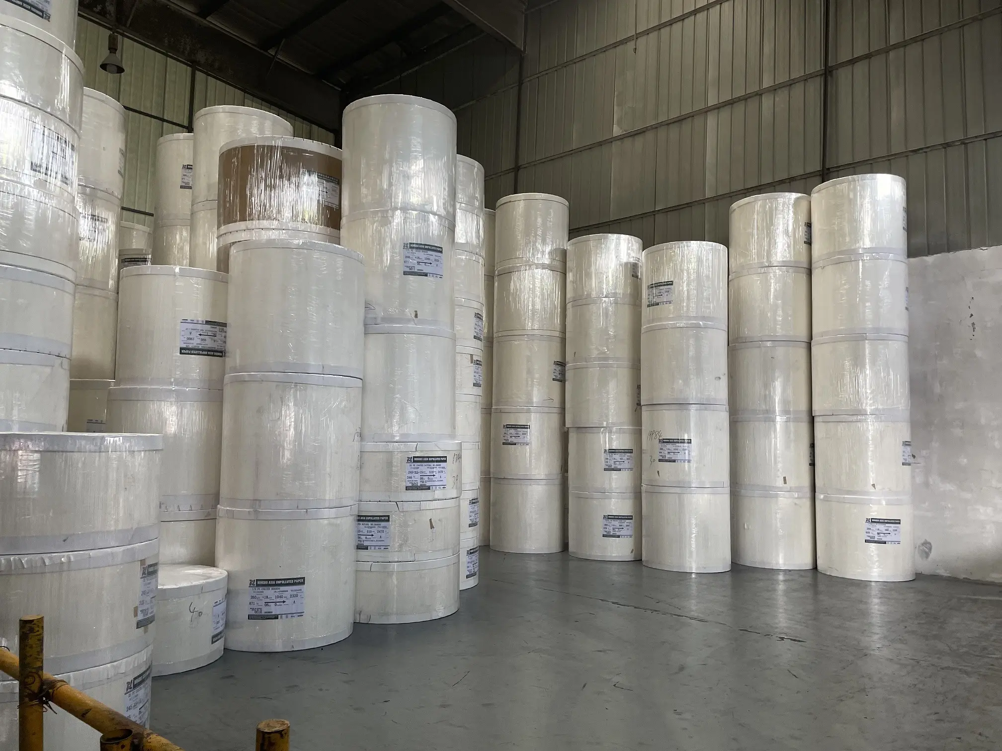 pe coated paper