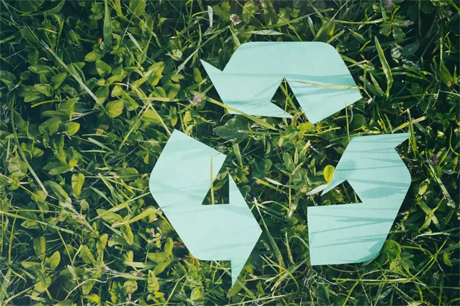 The Development Trend of Paper Packaging (2).webp