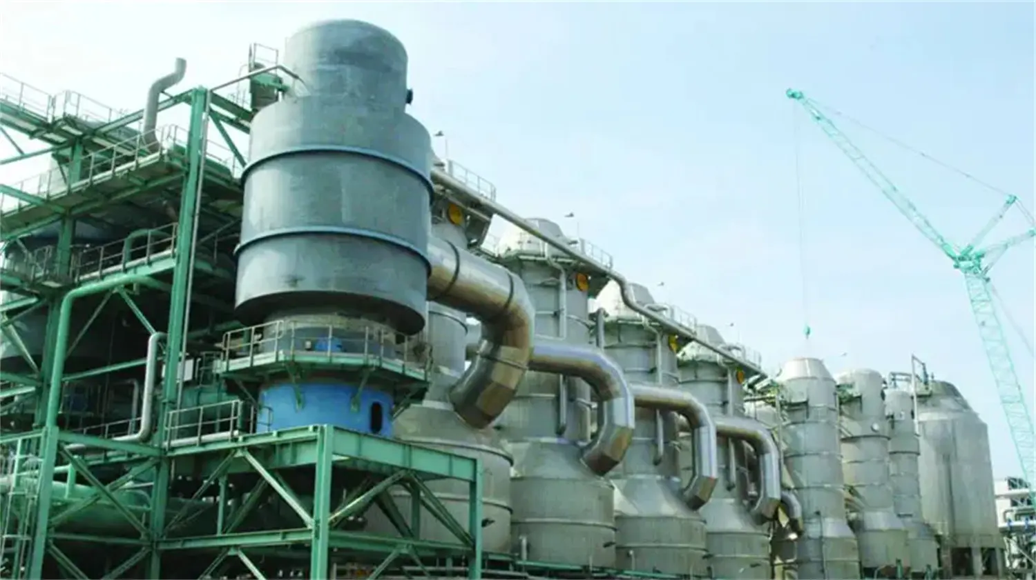 Walk into the App Pulp Mill and See How the Tree Becomes Pulp (5).webp