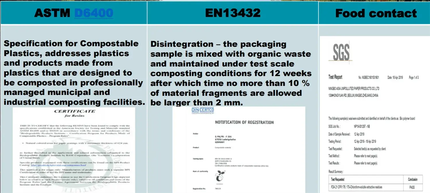Small Step Big Difference- Bio Board (8).webp