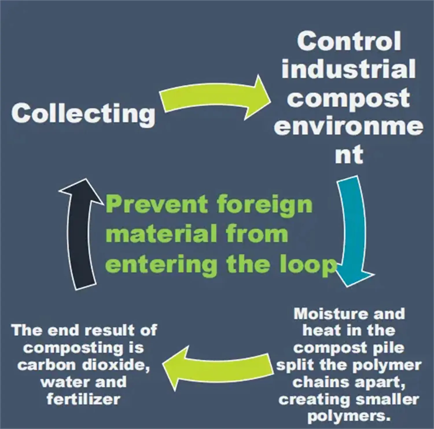 Small Step Big Difference- Bio Board (4).webp