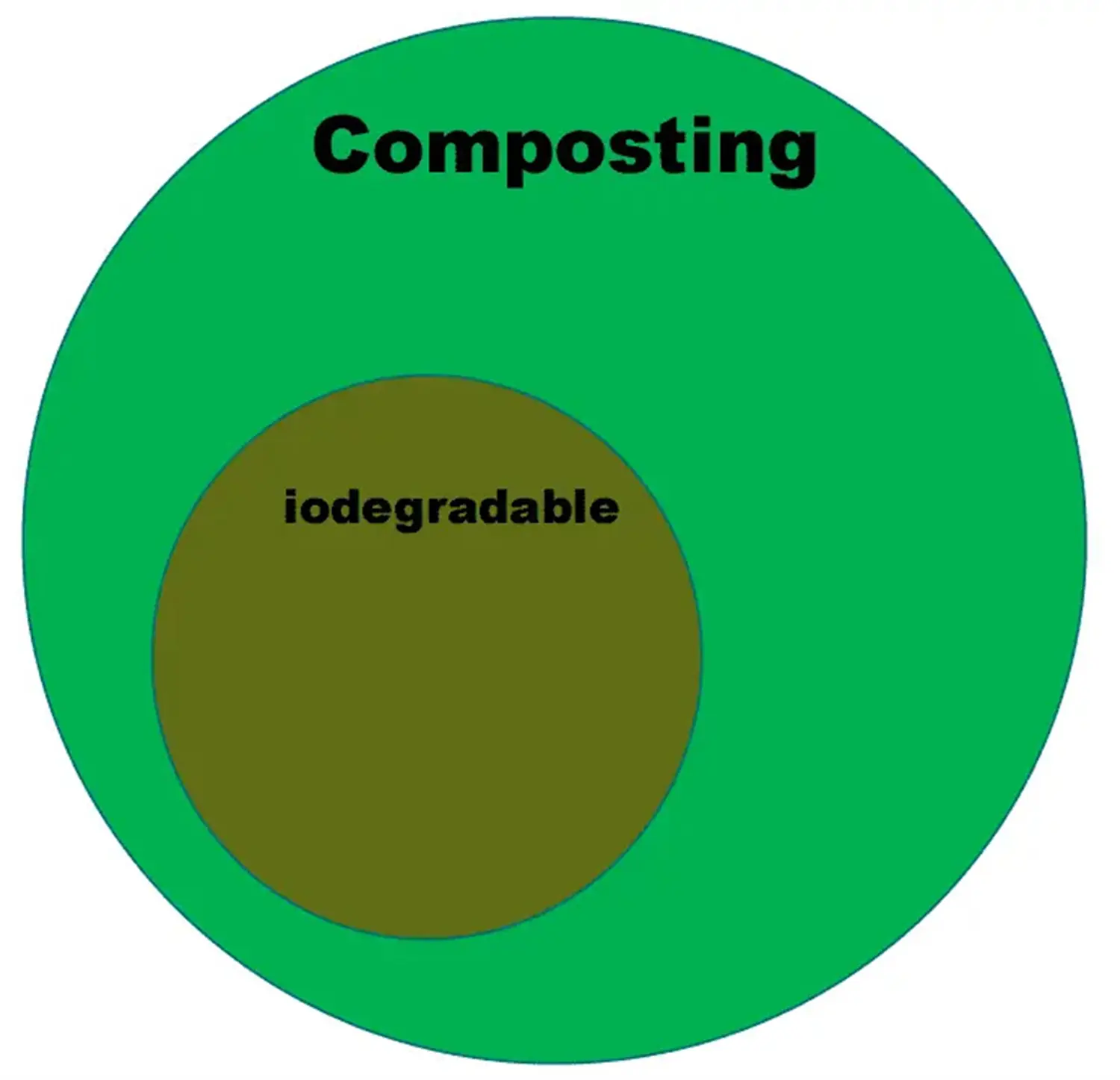 Small Step Big Difference- Bio Board (3).webp