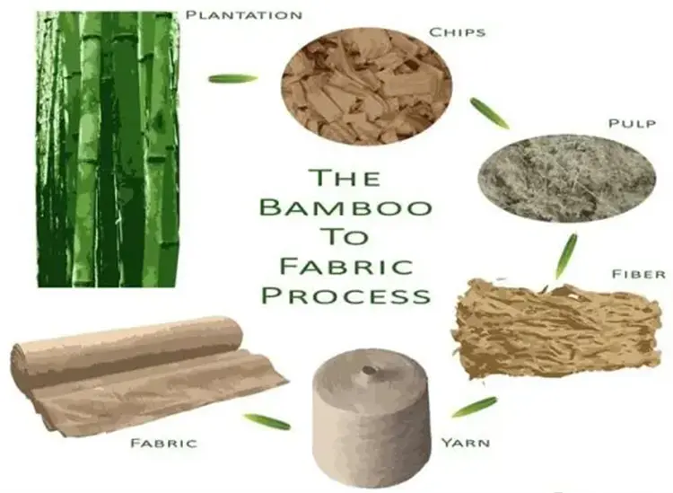 What’s the Advantages of Bamboo Pulp (1).webp
