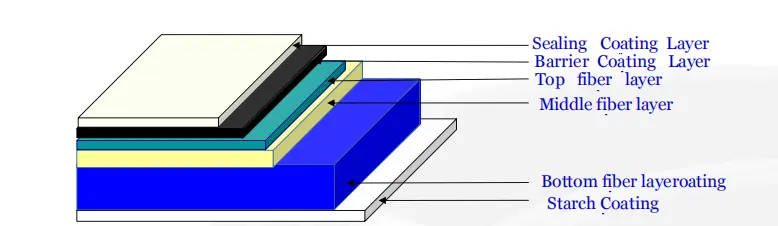 EPP'S Structure and TSD