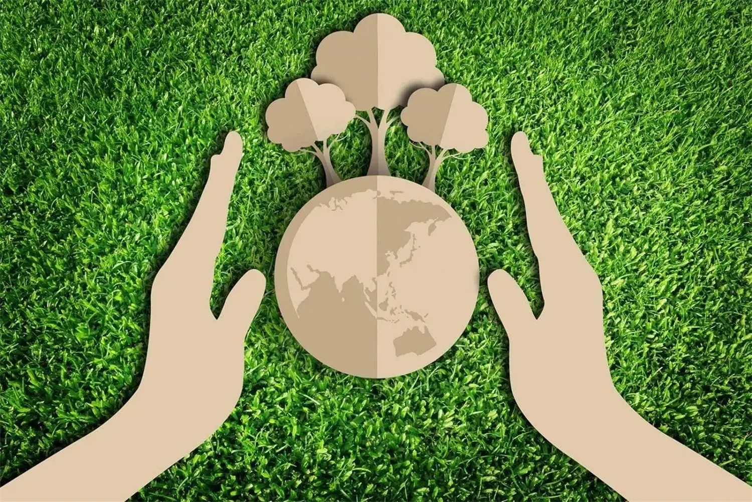 How Is the Waste Paper Recycled (3).webp