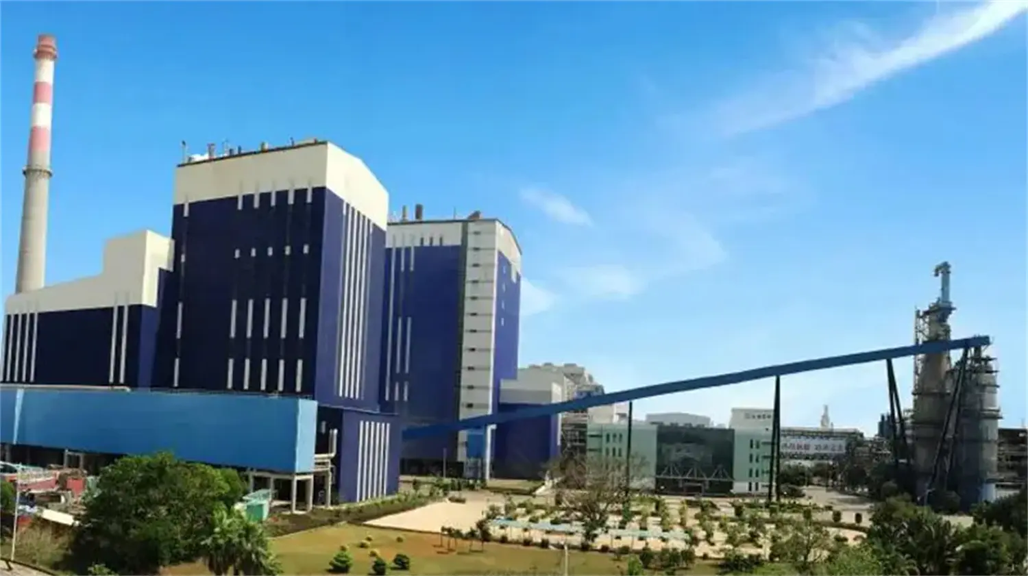 Walk into the App Pulp Mill and See How the Tree Becomes Pulp (3).webp