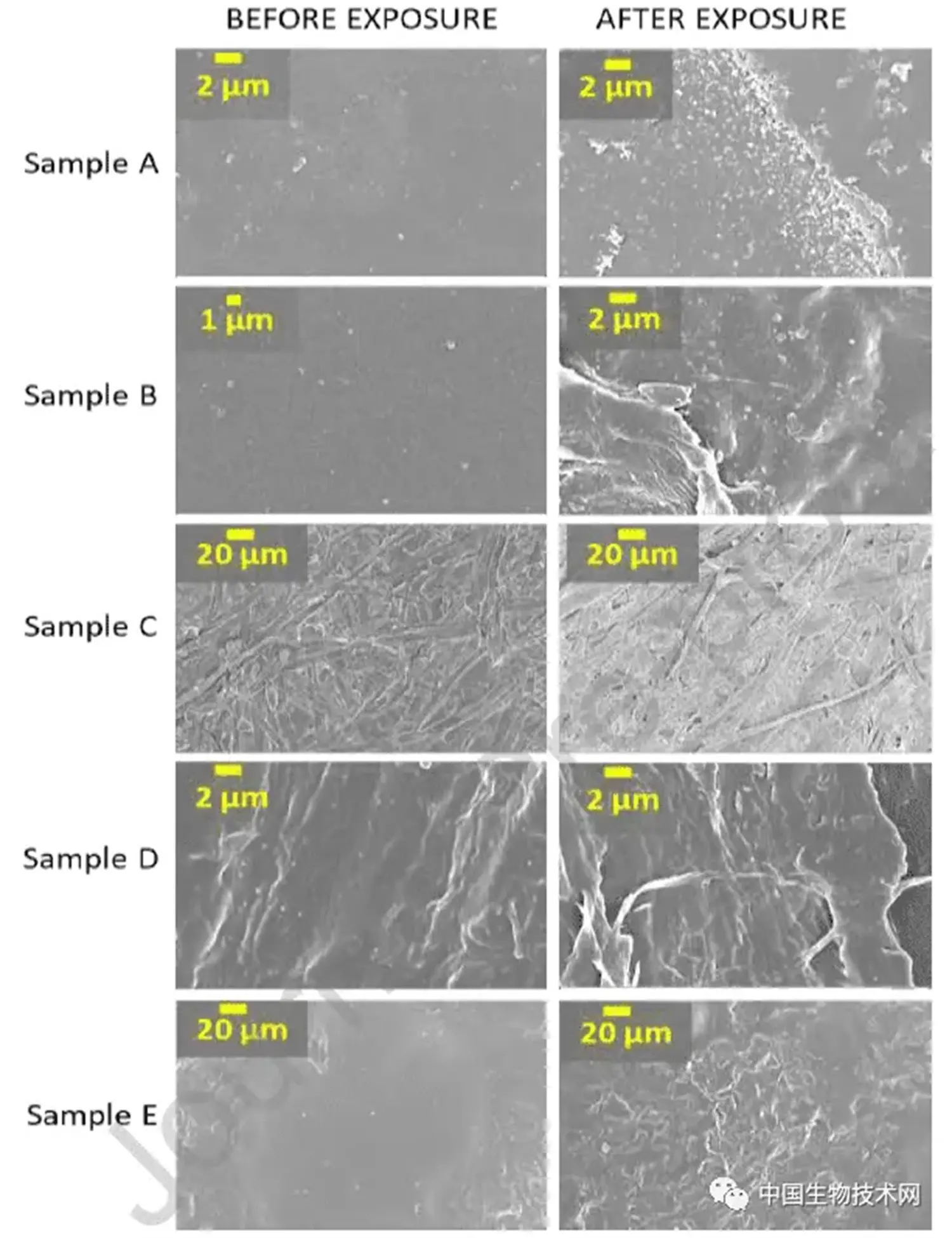 After Reading This, Do You Dare to Drink Coffee Every Day with a PE Coated Paper Cup (5).webp